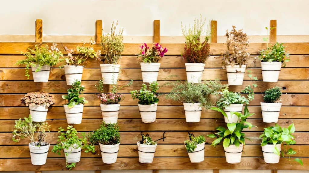 Alimentos detox - saiba como preparar